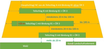 ÖR - Skizze