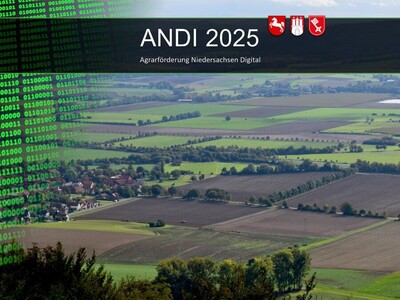 ANDI 2025